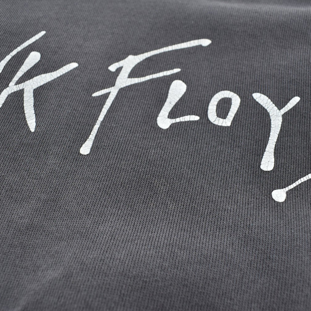 90's PINK FLOYD "The Dark Side of the Moon" ロックフーディー 260331H
