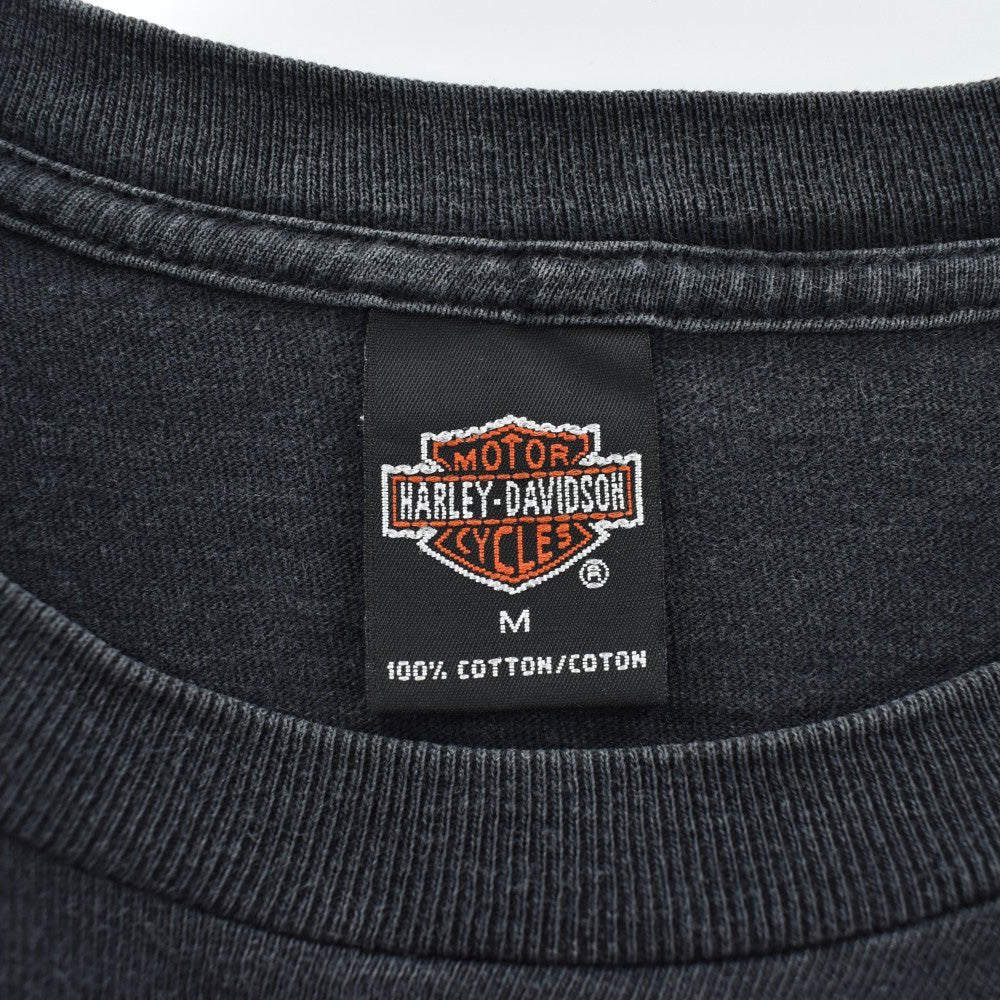 90's HARLEY-DAVIDSON "Nothing Else Matters" フレイム ハーレーT USA製 260821H