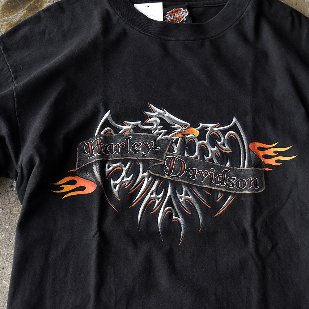 Y2K HARLEY-DAVIDSON L/S Tシャツ イーグル ギャル Y2K HARLEY-DAVIDSON L/S Tシャツ イーグル ギャル トップス