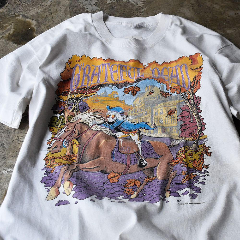 グレイトフル・デッド Boston Garden スカル ホース ライブTシャツ 1993年 USA製 ヴィンテージ