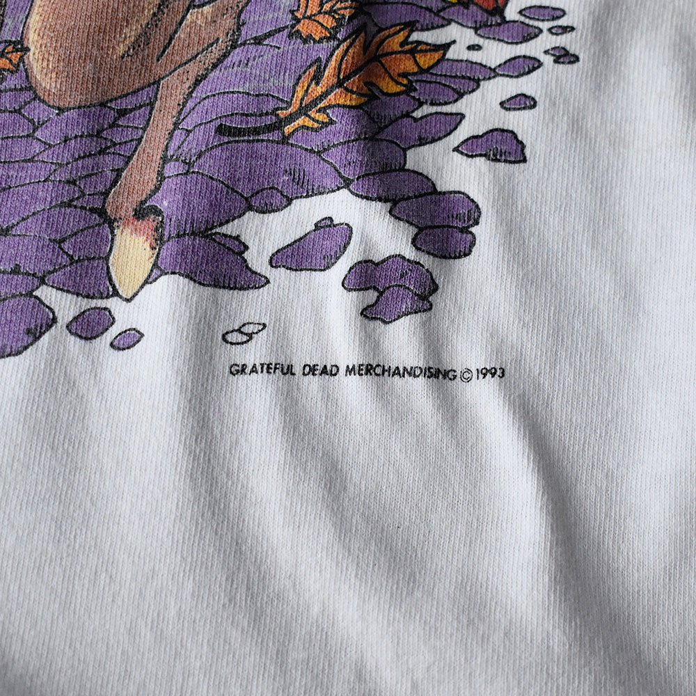 90's Grateful Dead “Boston Garden” Live Tシャツ 240401H