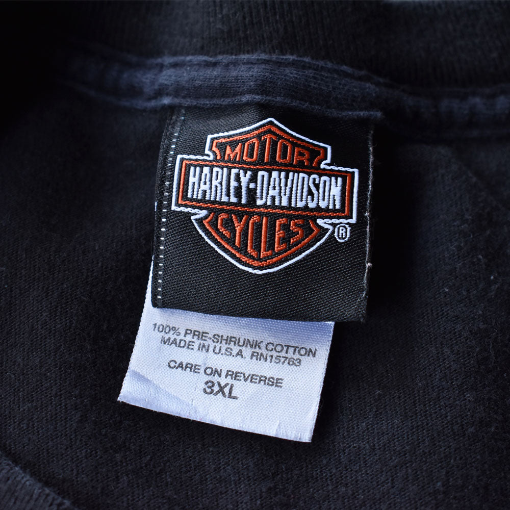 Y2K Harley-Davidson × Looney Tunes コラボ キャラTシャツ 240808