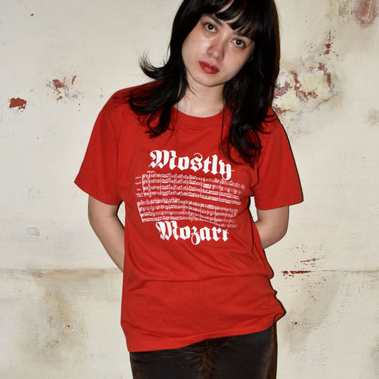 80’s SCREEN STARS “Mostly Mozart Festival” モーツァルト フェス Tシャツ USA製 250912H