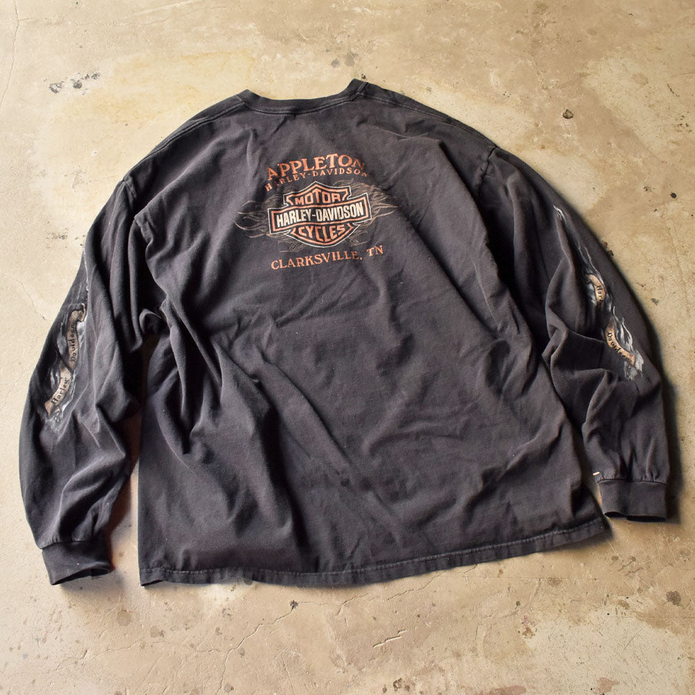 Y2K Harley-Davidson × Looney Tunes コラボ キャラTシャツ 240808