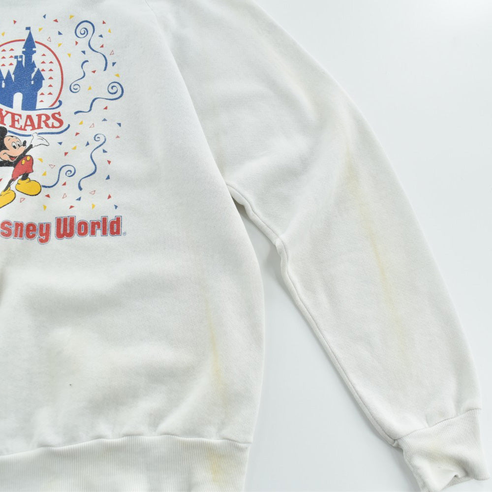 80's Walt Disney World “15 YEARS” スウェット USA製 260515H