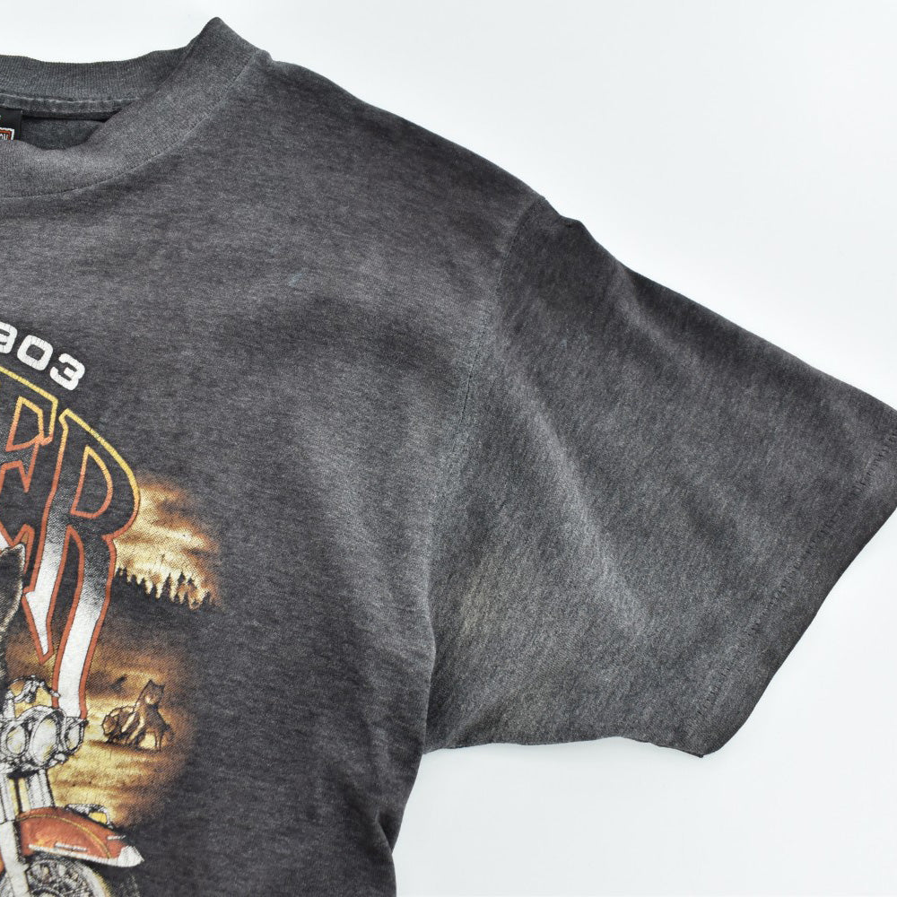 90's Harley-Davidson/3D EMBLEM "Leader of the Pack" ハーレーT 260703H