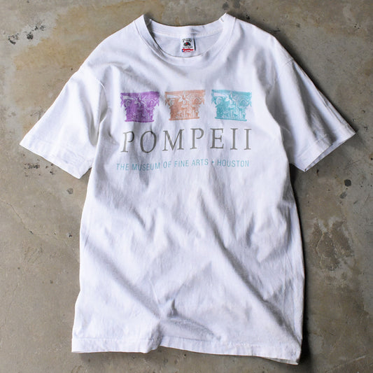 90’s The Museum of Fine Arts, Houston “POMPEII” アート Tシャツ USA製 250528