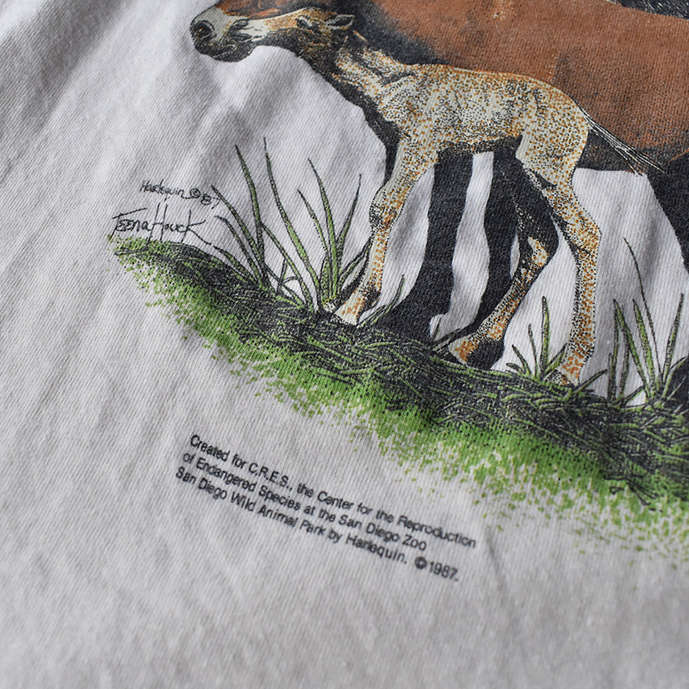 80's　“San Diego Zoo” 両面 アニマルプリント Tシャツ　USA製　230708