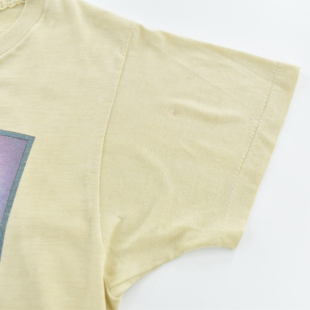 80's THE WHO "CNE Stadium 1980" ロックTシャツ 260918H