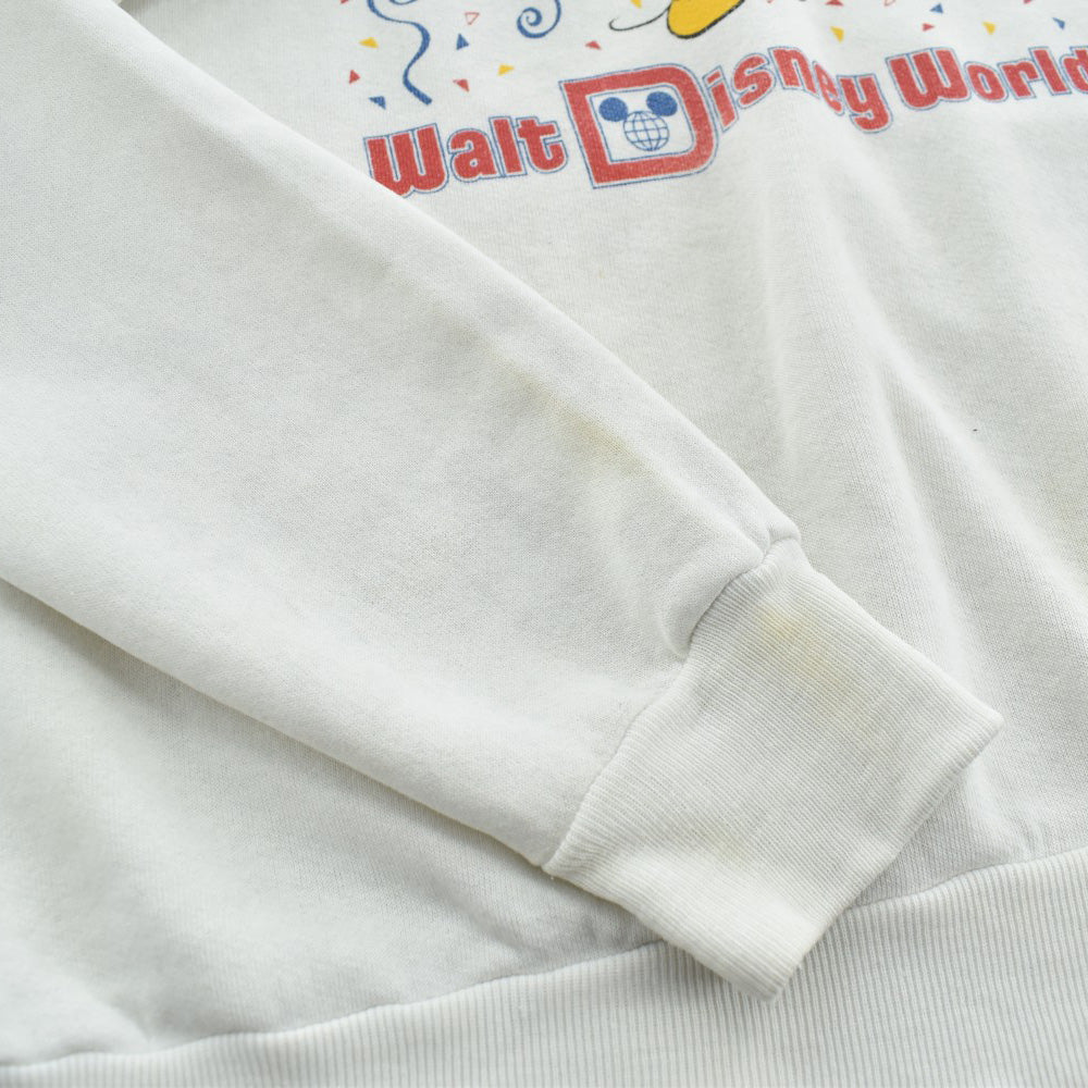 80's Walt Disney World “15 YEARS” スウェット USA製 260515H