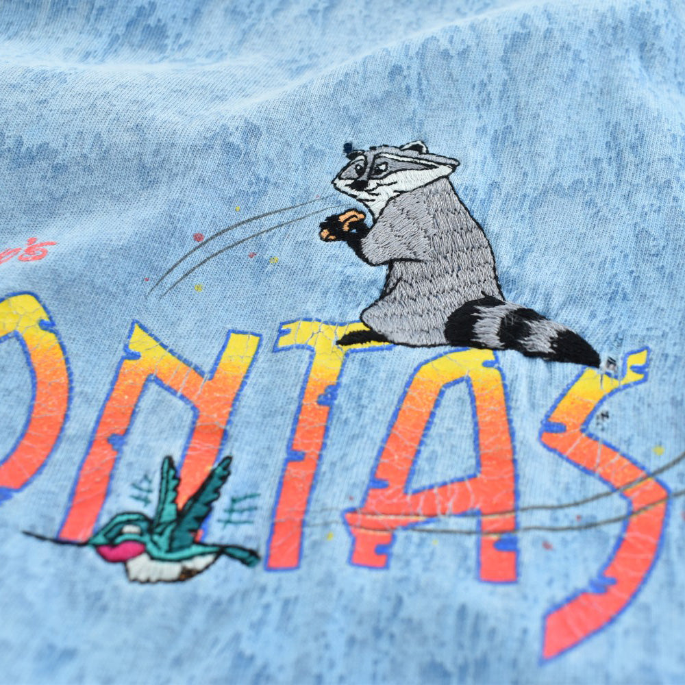 90's Disney "POCAHONTAS" ムービーTシャツ 260901H