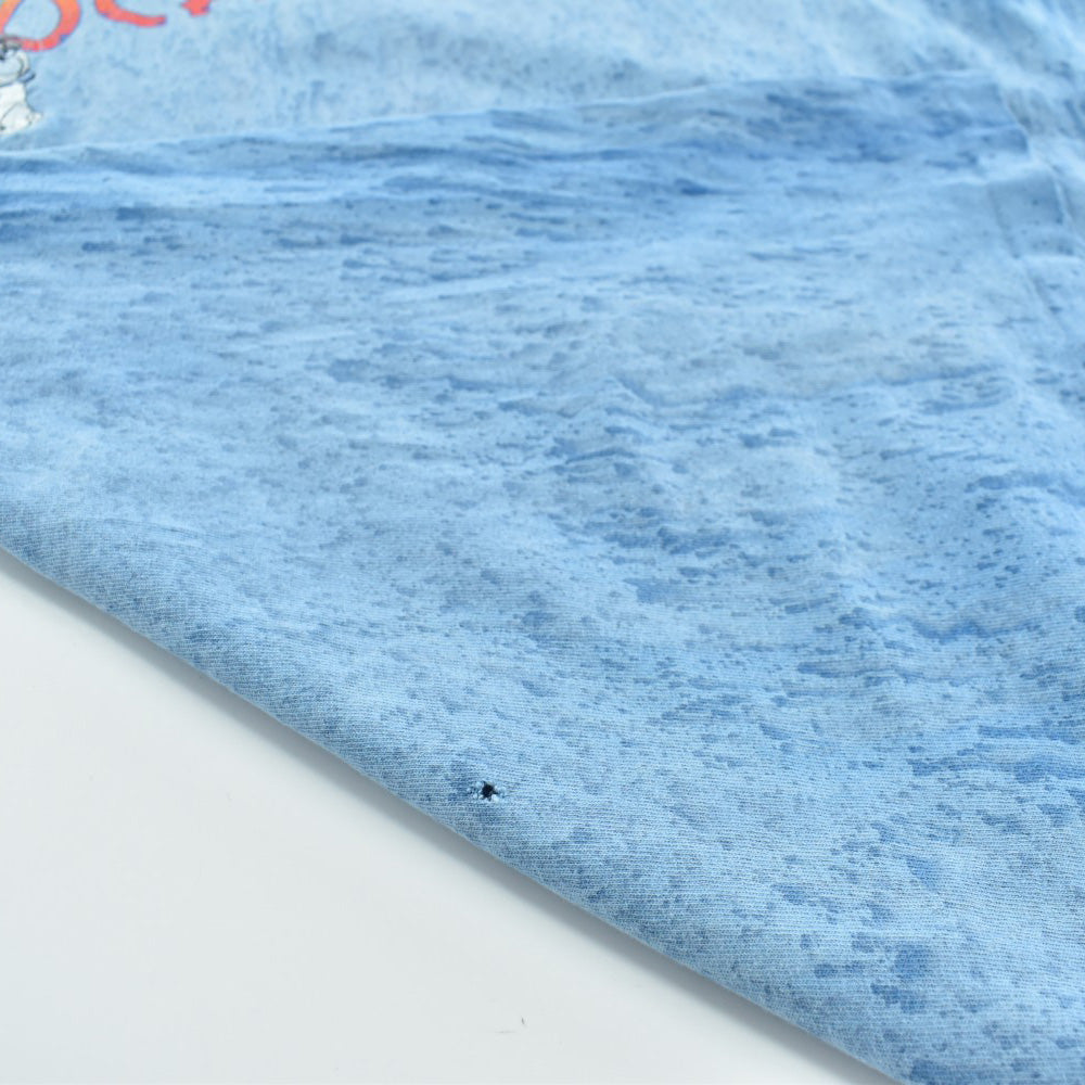 90's Disney "POCAHONTAS" ムービーTシャツ 260901H