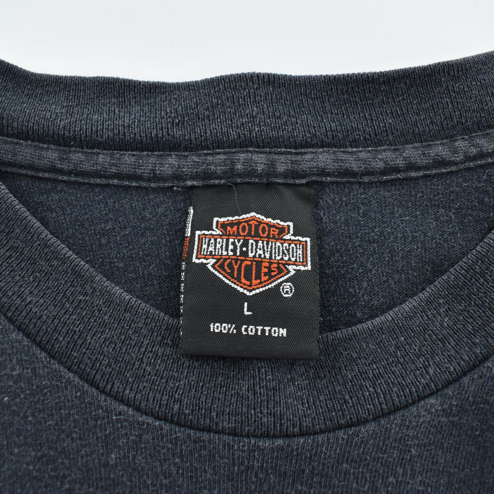 90's HARLEY-DAVIDSON "NO BOUNDARIES" 狼&炎 ハーレーTシャツ USA製 260626H