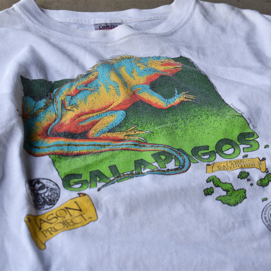 90's　JOYCE REED “GARAPAGOS” イグアナ アニマルプリントTシャツ　USA製　230530