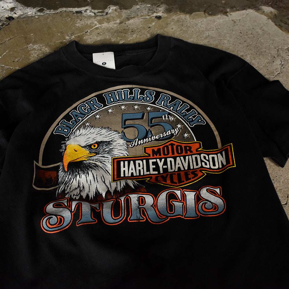 90's Harley-Davidson “Black Hills Rally” イーグル Tシャツ 230915H