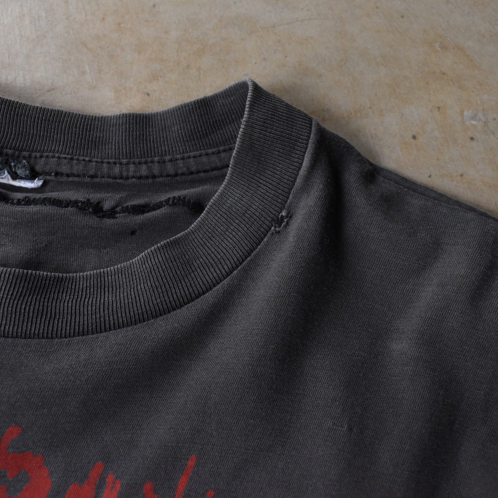 90’s TERRORIZER “World Downfall” グラインドコア ロックTシャツ 251121H