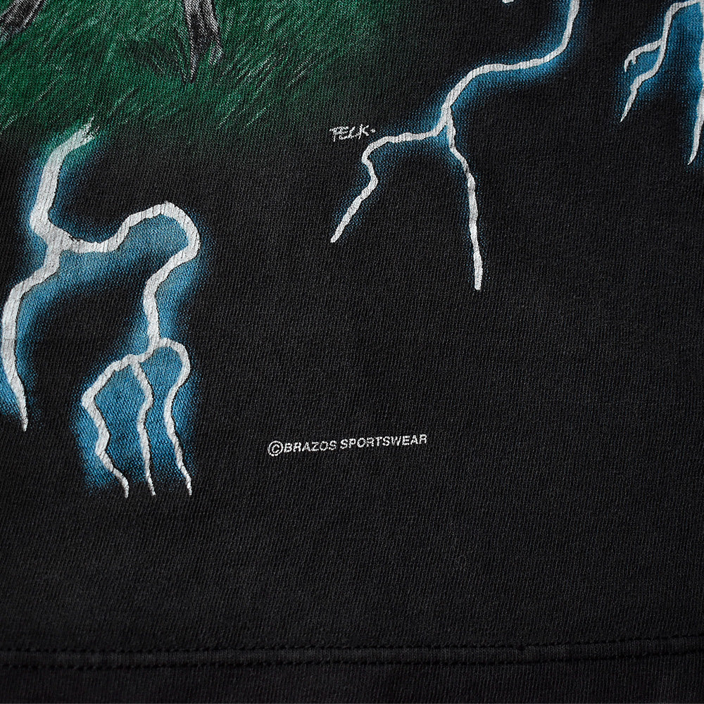 90's AMERICAN THUNDER “ユニコーン“ Tシャツ 240725H