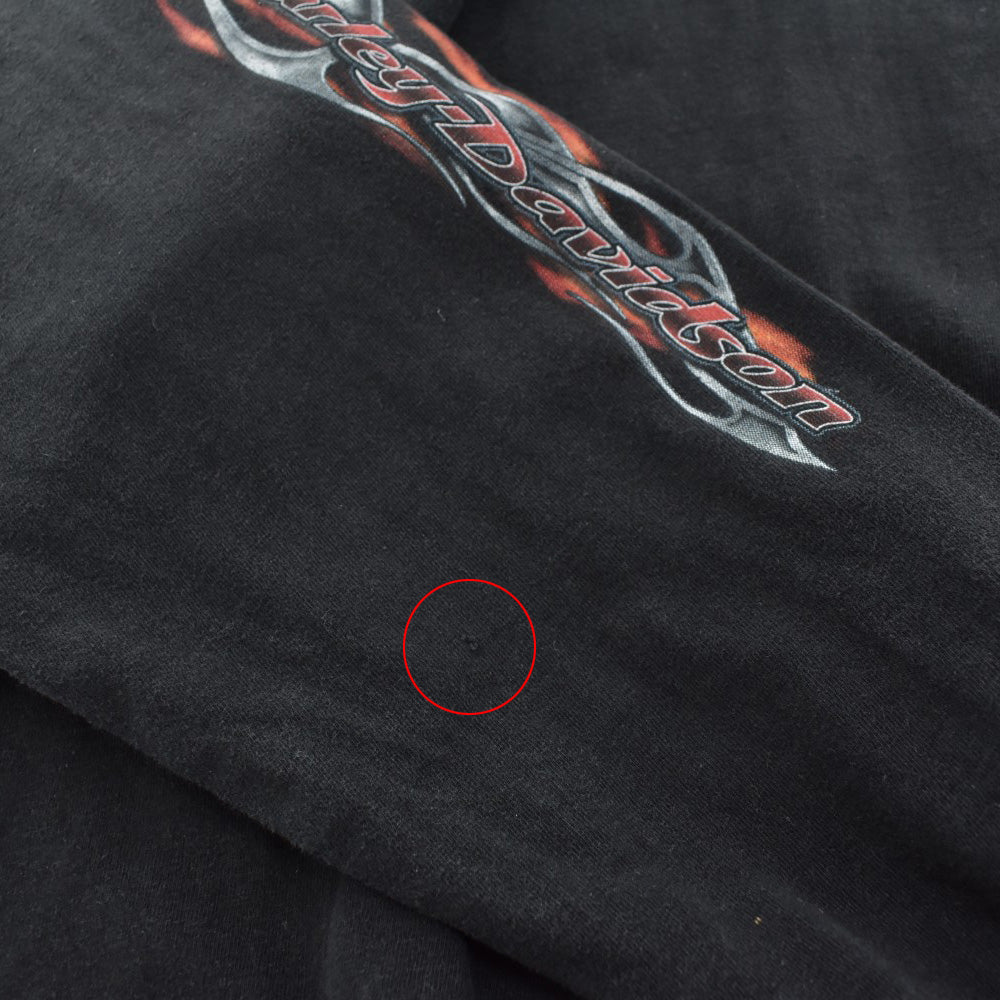 Y2K Harley-Davidson トライバルフレーム ロングスリーブTシャツ USA製 260421H