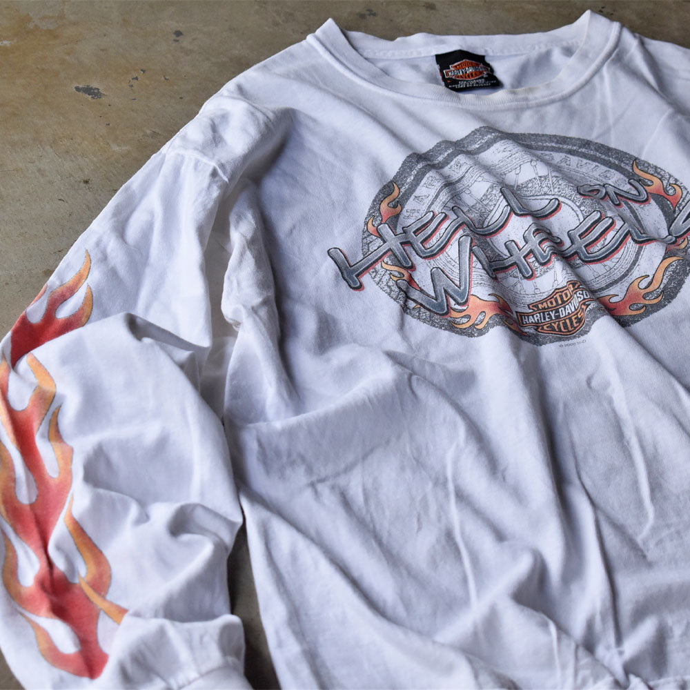 ハーレーダビッドソン HELL ON WHEELS ファイヤーパターン ロングスリーブTシャツ 2000年 USA製 古着
