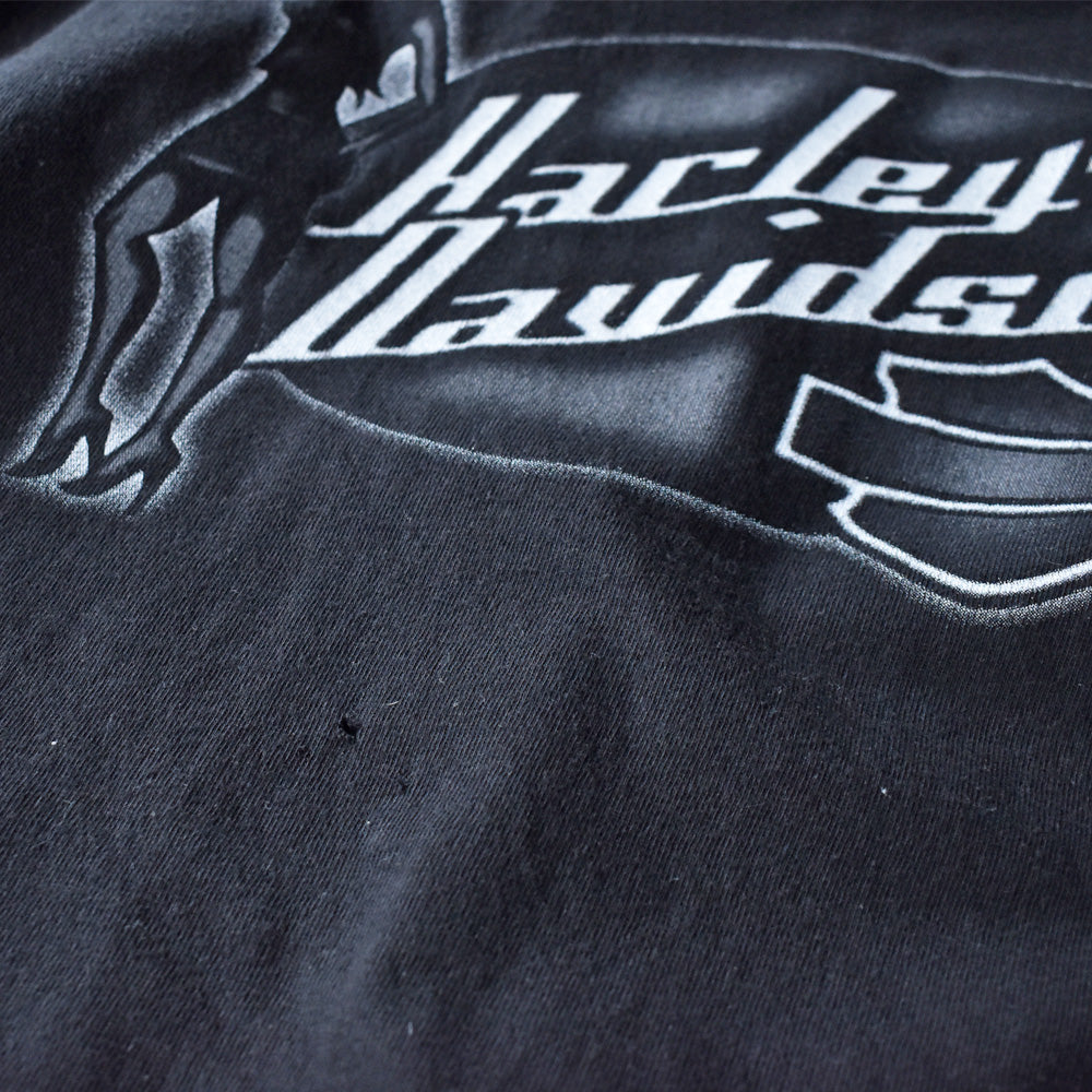 Harley-Davidson/ハーレー・ダビッドソン 袖プリ！ ロンT　230622