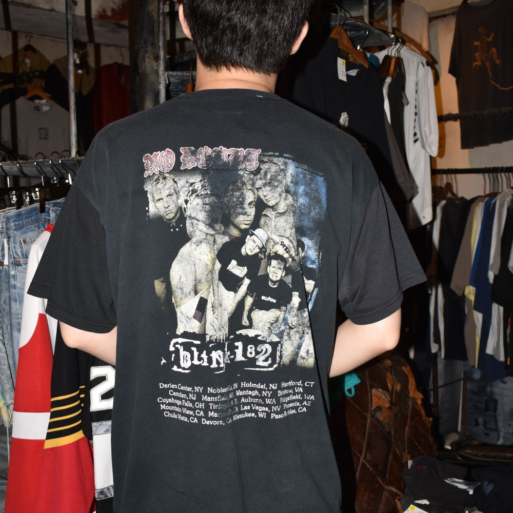 Y2K BLINK-182 / NO DOUBT "2004 TOUR" ロックＴシャツ 260630H