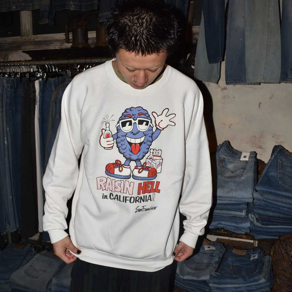 80's "RAISIN HELL" キャラクタースウェット USA製 260908H