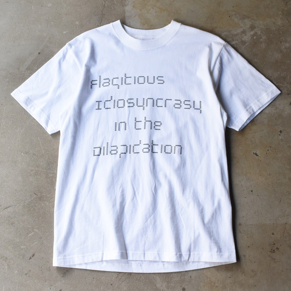 デッドストック！ Flagitious Idiosyncrasy "in the Dilapidation" Tシャツ 250905