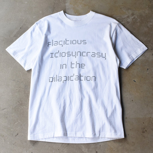 デッドストック! Flagitious Idiosyncrasy "in the Dilapidation" Tシャツ 250905