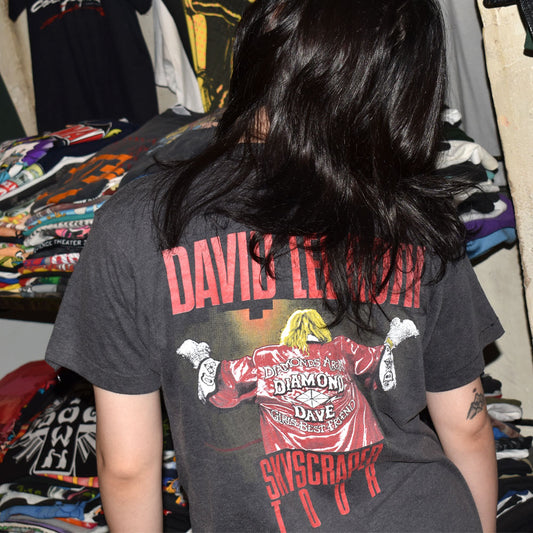 80’s David Lee Roth “Skyscraper Tour” ロック Tシャツ 250923H