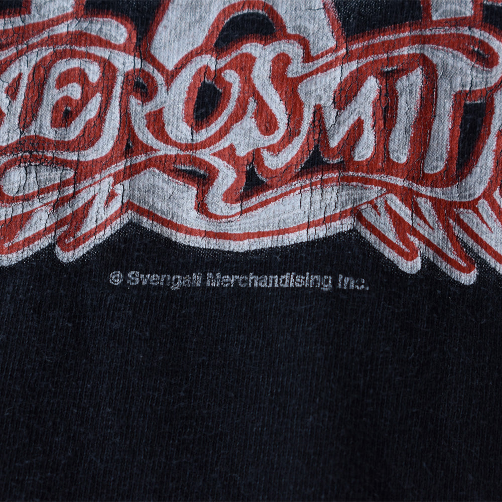 90’s　 Disney/ディズニー ”Rock'n'Roller Coaster starring Aerosmith” Tee　220730