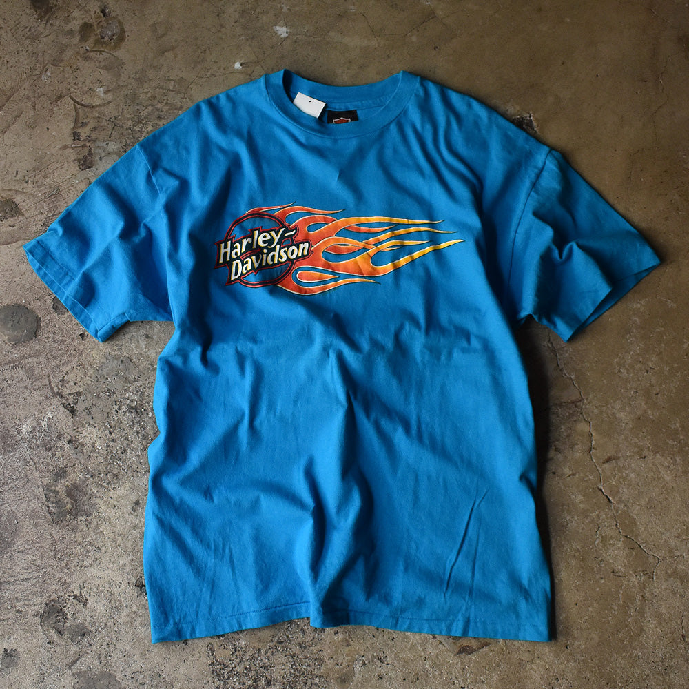 80's　Harley-Davidson/ハーレー・ダビッドソン　"Fireball" Tee　ブルー！　USA製　230421H