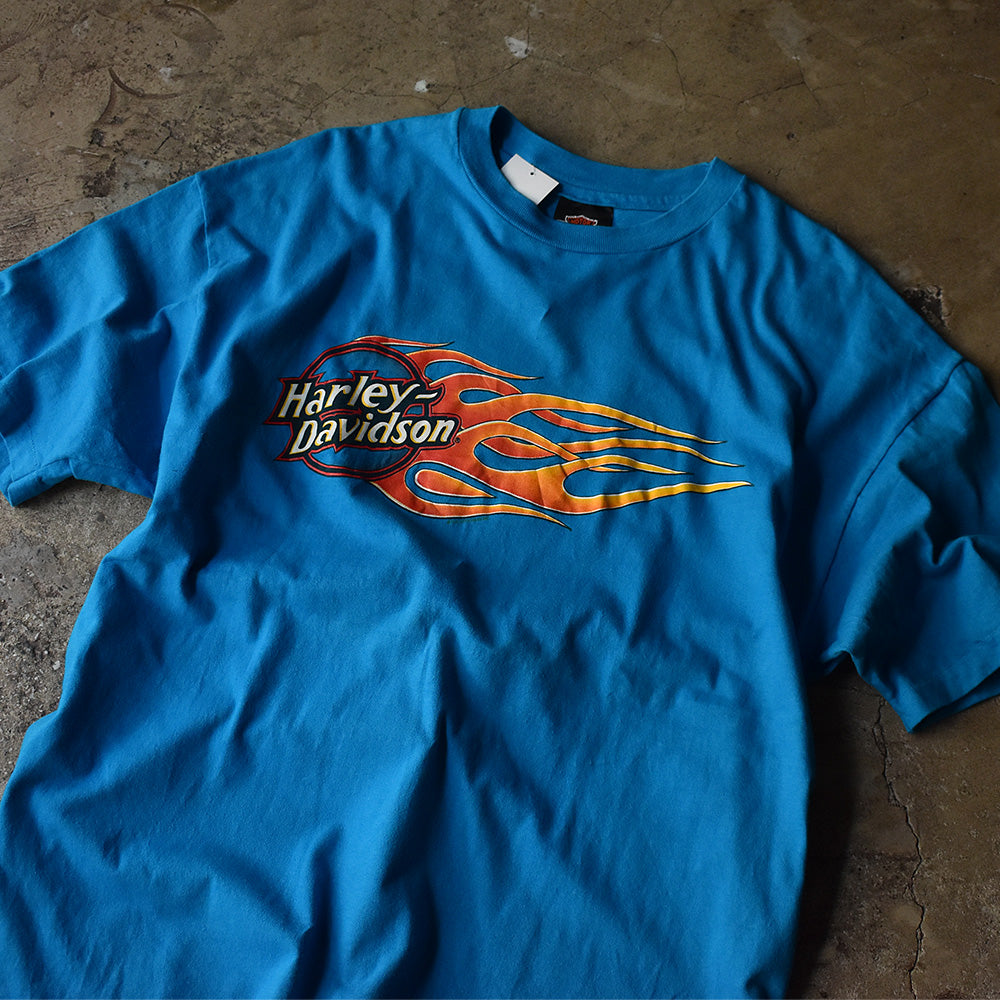 80's　Harley-Davidson/ハーレー・ダビッドソン　"Fireball" Tee　ブルー！　USA製　230421H