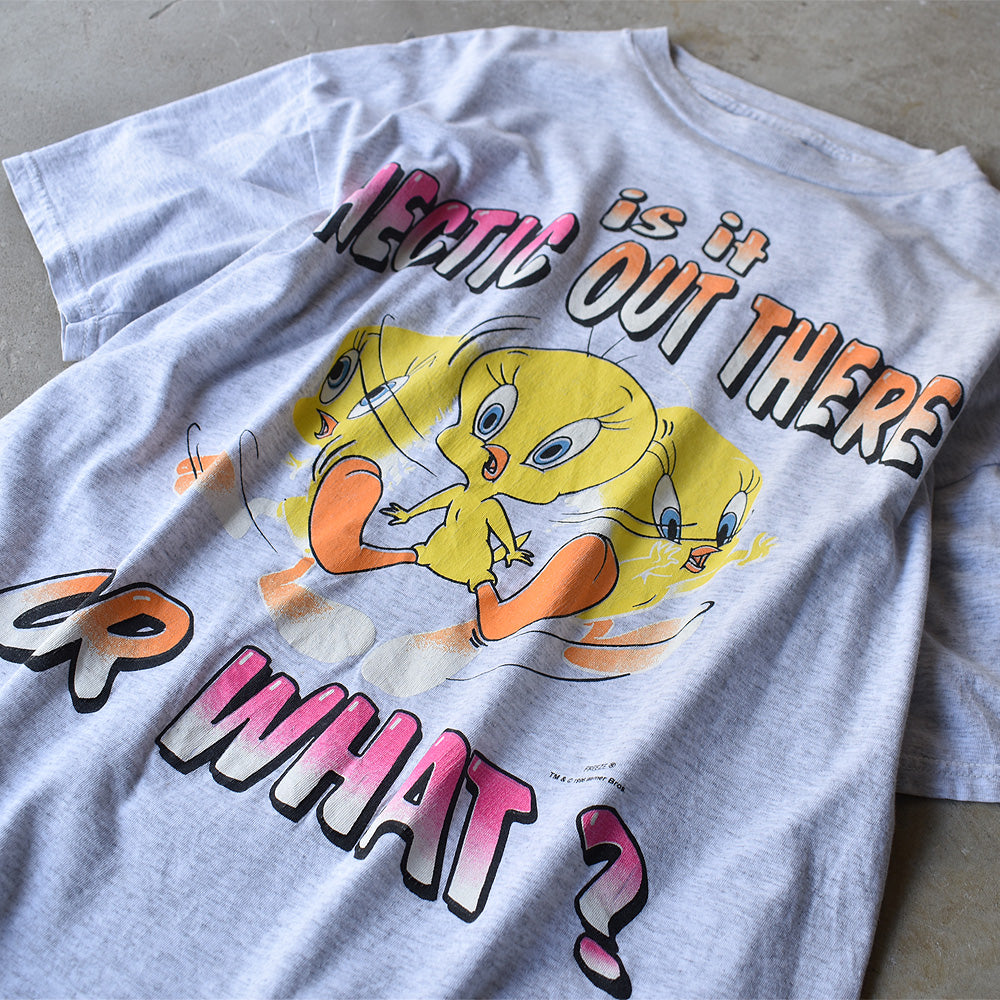 90's　Looney Tunes/ルーニー・テューンズ “is it HECTIC OUT THERE OR WHAT?” Tee　220727