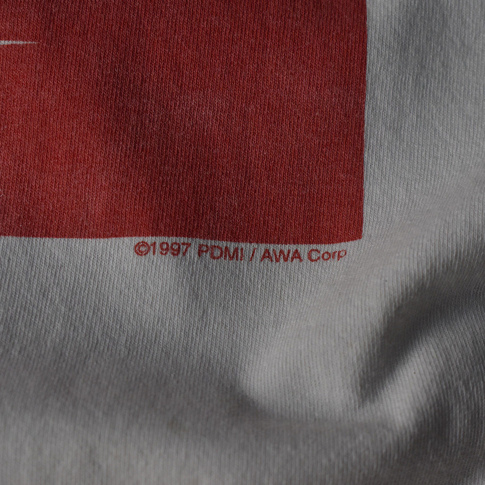 90's　The Notorious B.I.G./ノトーリアス・B.I.G.　"Big Poppa" Rap Tee　230401H